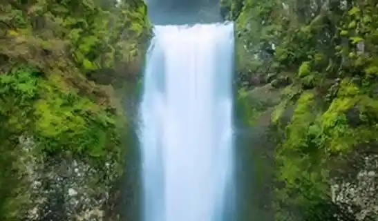 LOOP FLOW 图片动起来插件