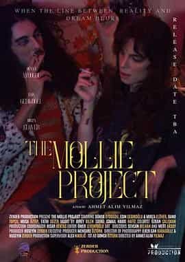 莫莉计划 The Mollie Project
