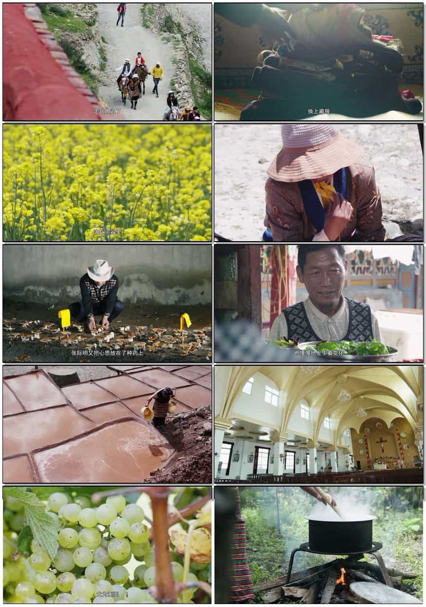    [西藏味道 第一季]   [全5集]   [2025最新西藏纪录片]   [国语中字]   [4K/4.3GB]