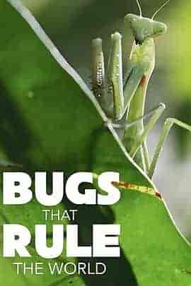 虫临天下 第一季 Bugs That Rule the World Season 1