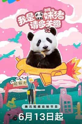 我是妹猪请多关照