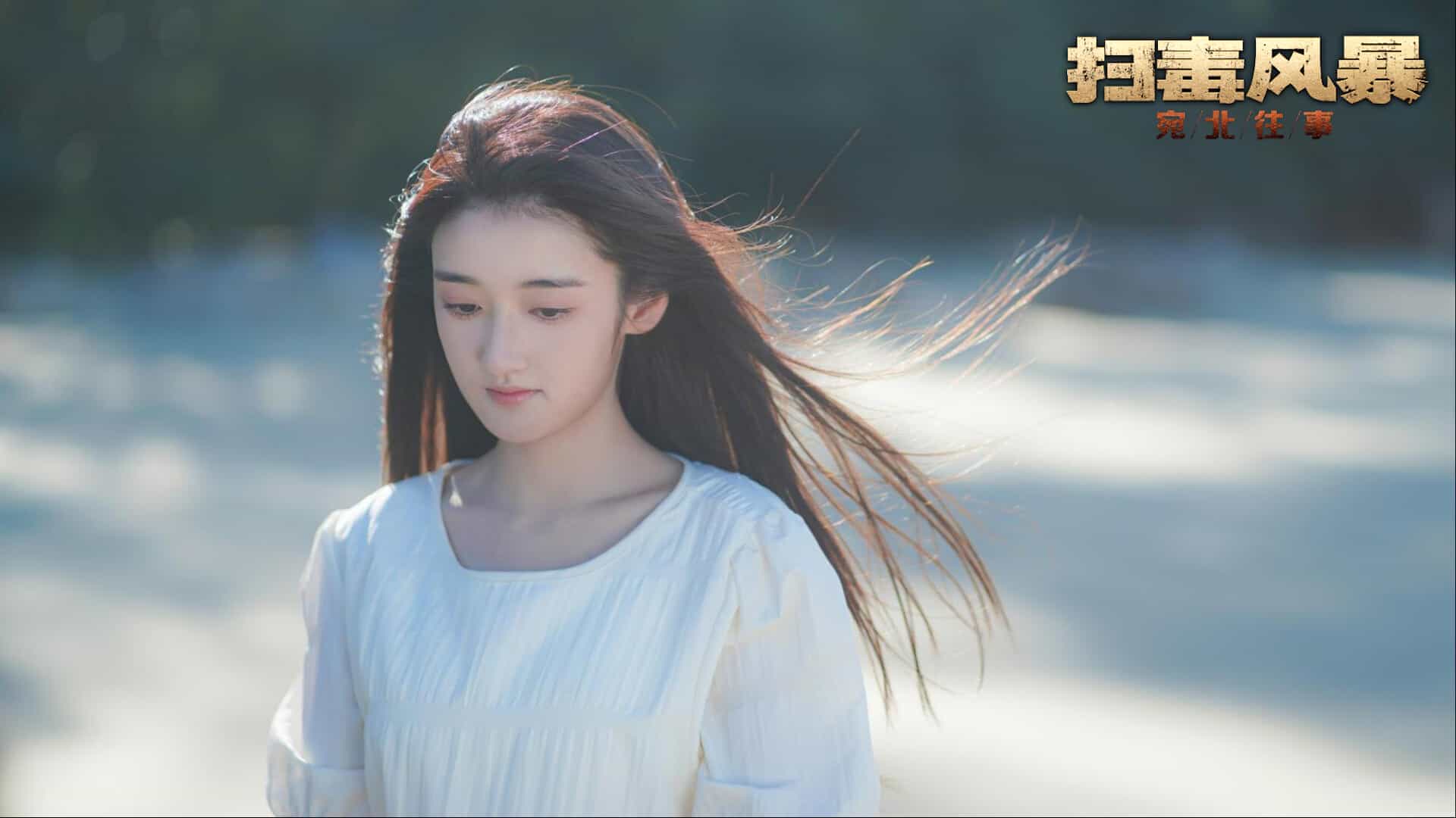 扫毒风暴:宛北往事|The Narcotic Operation插图3咸鱼单机官网 【PC游戏】扫毒风暴:宛北往事 Build.19524111(The Narcotic Operation)免安装中文版