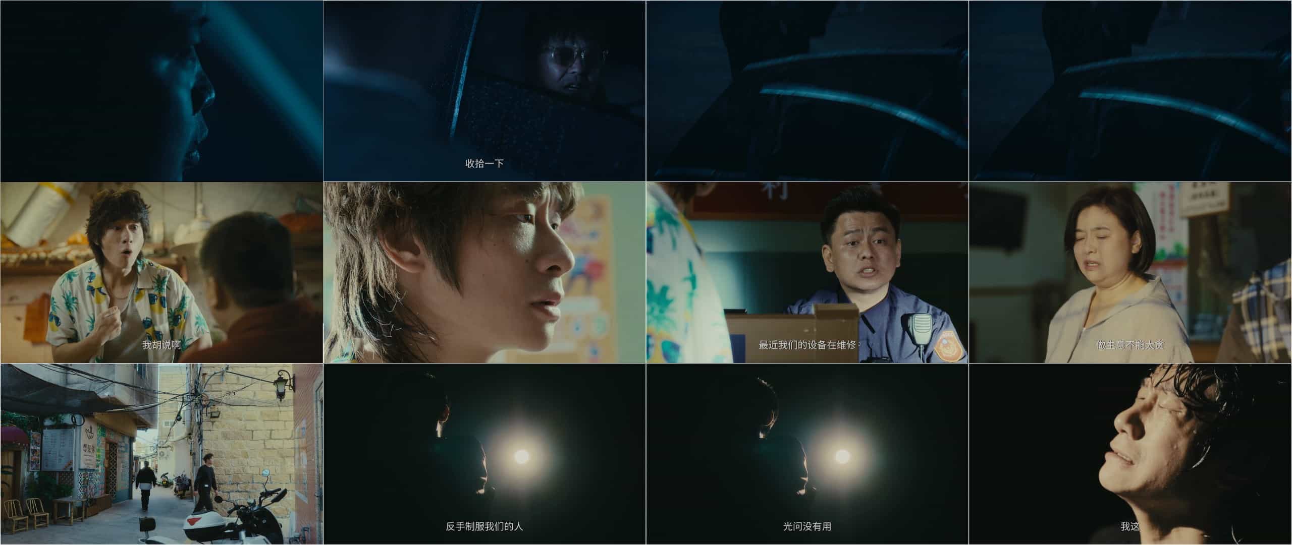 鹦鹉(2025)【首更11集】【4K / HDR Vivid / 60FPS / 高码率】【2G/集】【叶浏/吴建豪/徐冬冬】