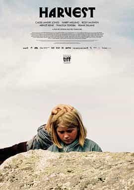 收成 Harvest 收成 Harvest