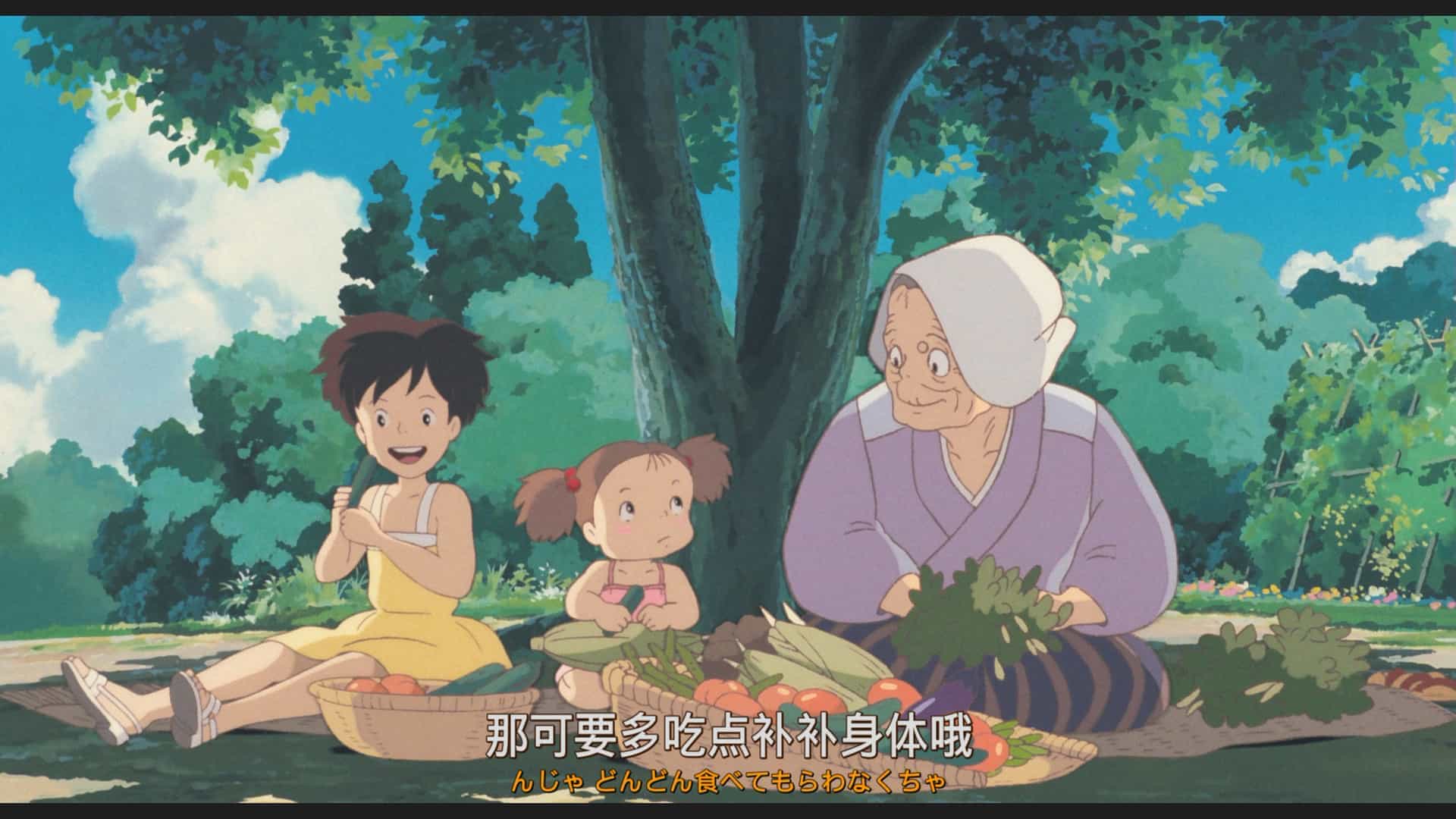 龙猫(1988)【蓝光原盘REMUX】 日英国粤音轨 【内封港/台繁体/简中日特效字幕】24.74G