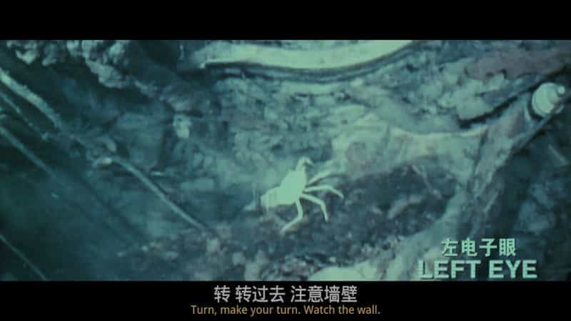 泰坦尼克号(1997)4K UHD原盘 国粤英三语TrueHD7.1 英语视觉描述 英简繁&双语特效SUP字幕 杜比视界p7双层 76.8 GB