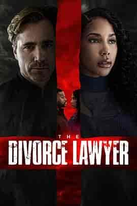 离婚律师 The Divorce Lawyer