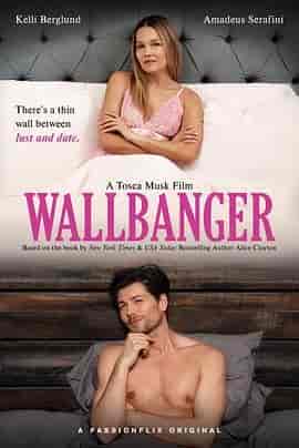 穿墙者 Wallbanger