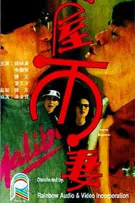 一屋两妻 一屋兩妻