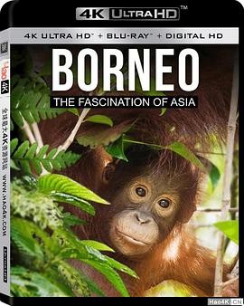 婆罗洲:亚洲的魅力 Borneo The Fascination of Asia
