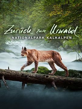 回归远古森林：卡尔克阿尔卑斯国家公园 Zurück zum Urwald - Nationalpark Kalkalpen